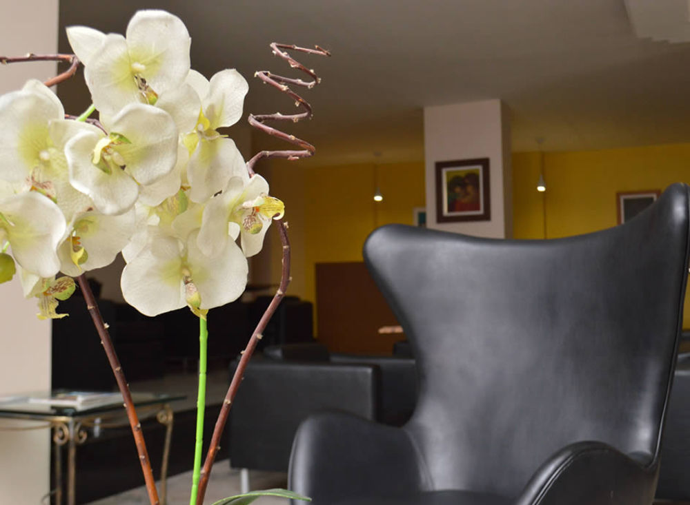 Belem Soft Hotel מראה חיצוני תמונה